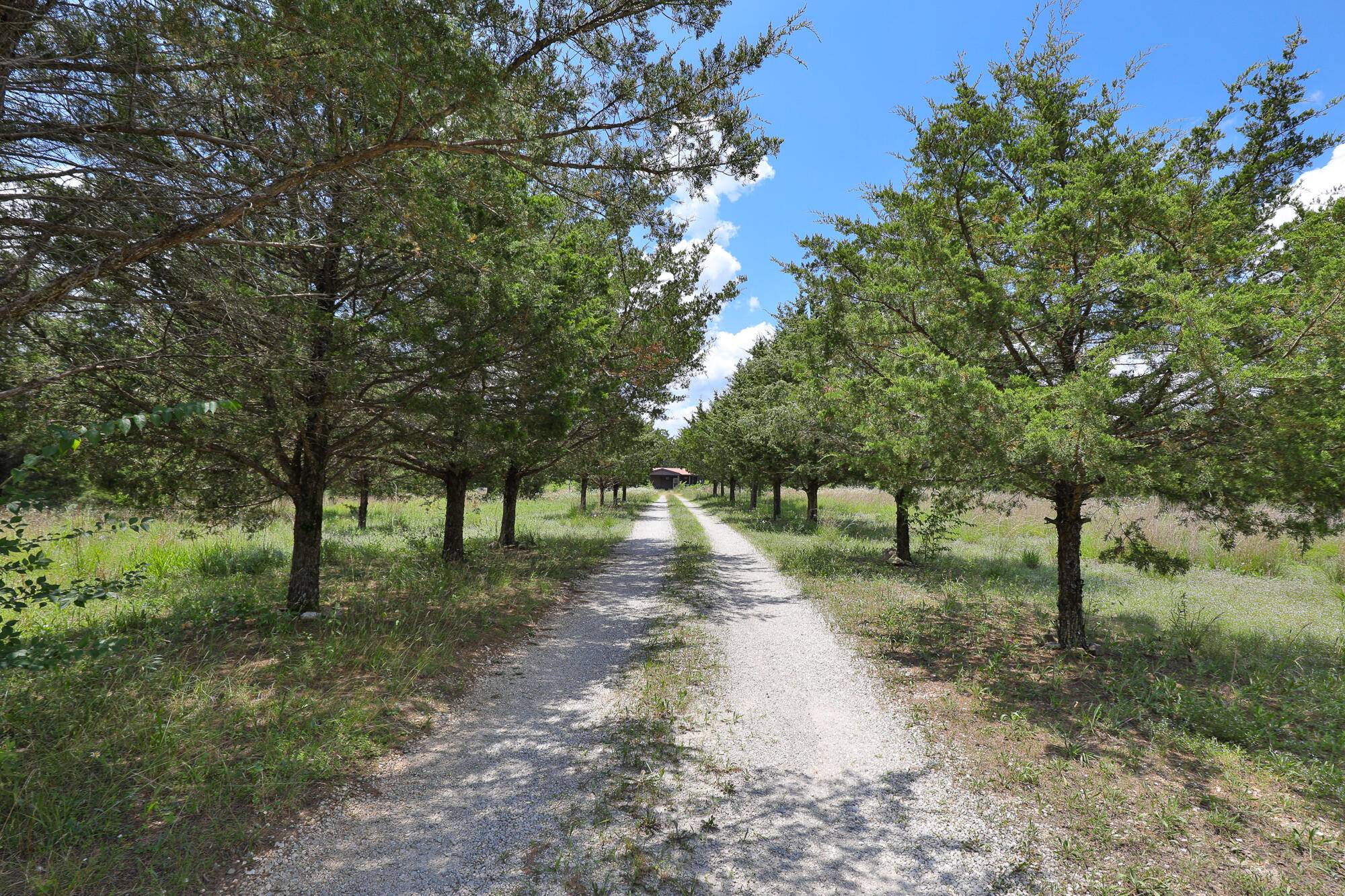 628 State  Road F, Elkland, MO 65644