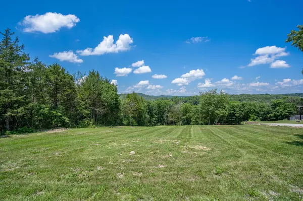 Reeds Spring, MO 65737,11 Tall Cedar Lane