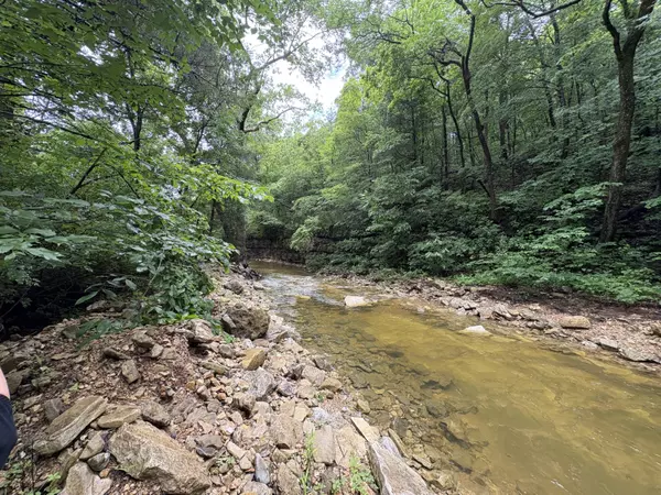 Walnut Shade, MO 65771,421 N Emory Creek Road