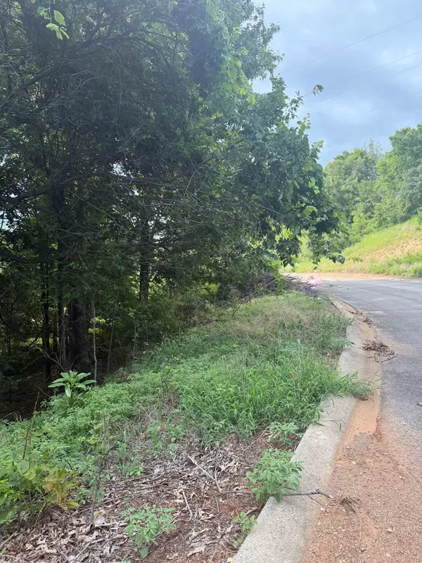 Hollister, MO 65672,350 Emerald Isle Drive