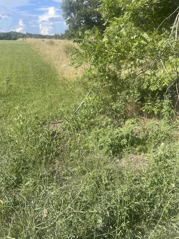 Aurora, MO 65605,00 Farm Road 2015