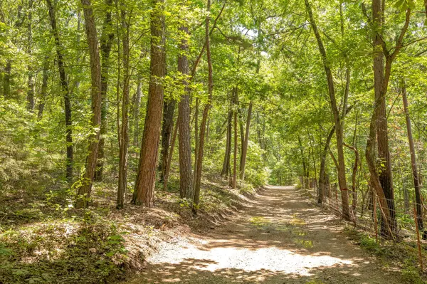 Ridgedale, MO 65739,Tbd 40 Ravenwood Way