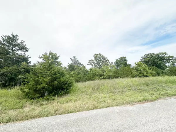 Forsyth, MO 65653,000 Shady Oaks Shore #Lot 46