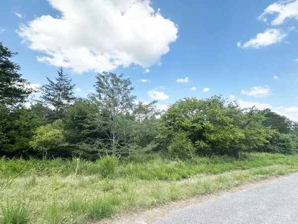 000 Shady Oaks Shore #Lot 46, Forsyth, MO 65653