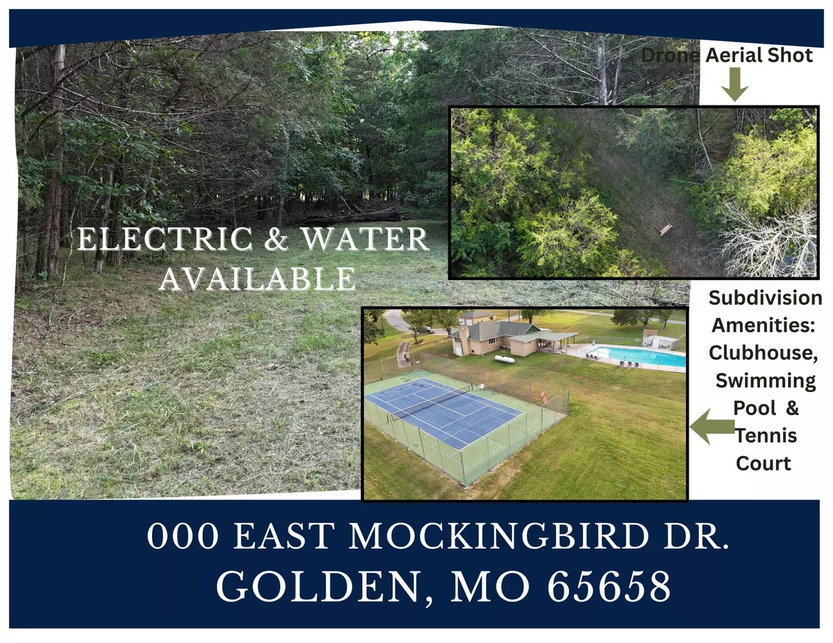 Golden, MO 65658,000 East Mockingbird Drive