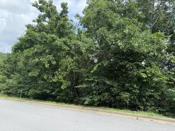 Hollister, MO 65672,280 Samara Way