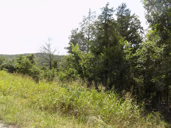 Kissee Mills, MO 65680,Tbd Cane Creek Road