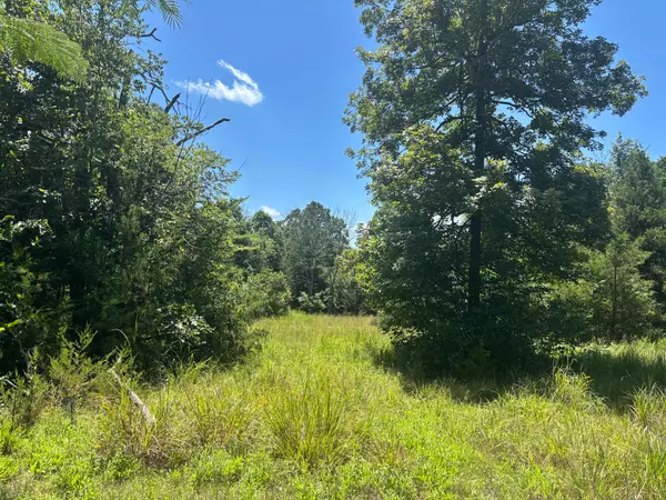 Theodosia, MO 65761,416 County Road 644