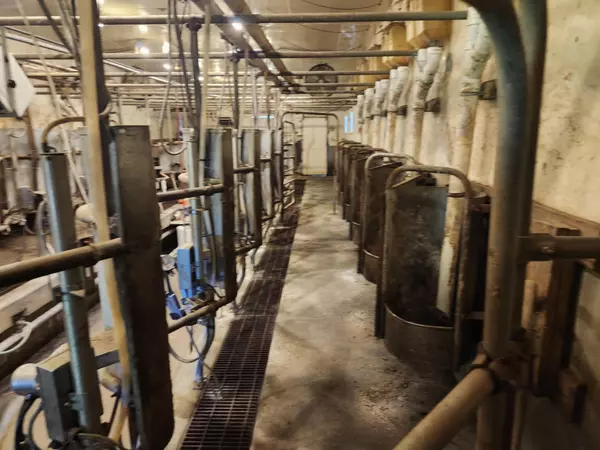 Grovespring, MO 65662,000 Tbd