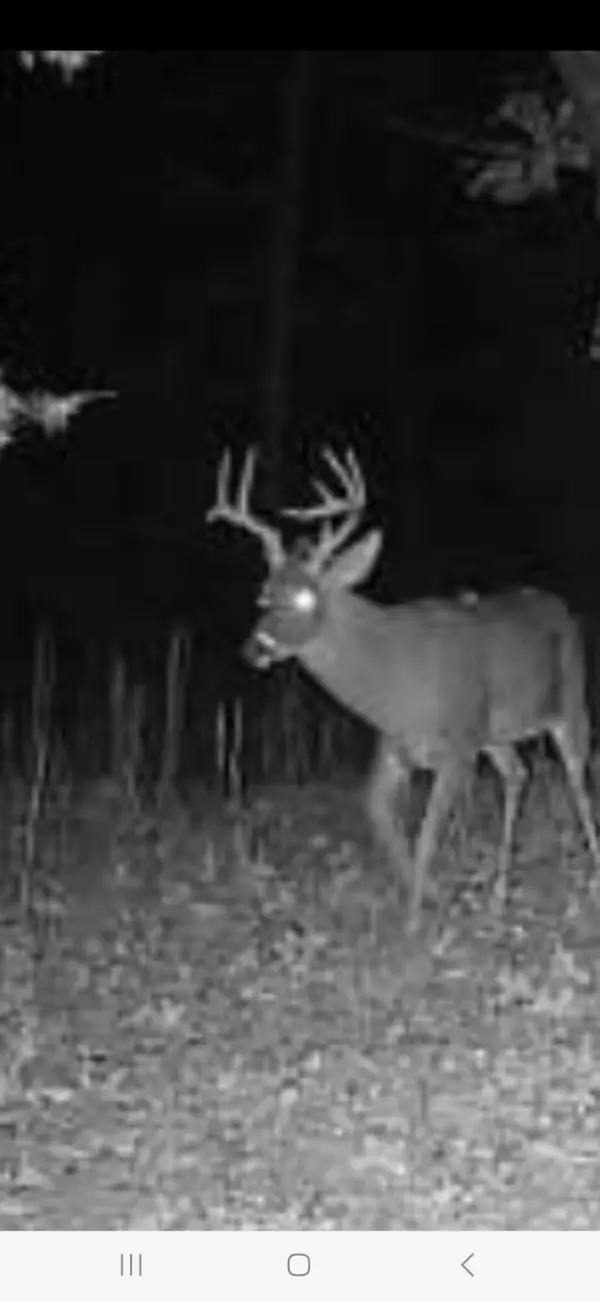 Macomb, MO 65702,000 Hall Road
