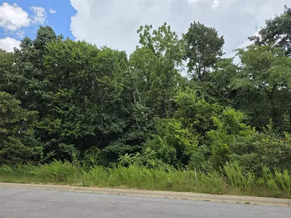 West Plains, MO 65775,2006 Big Deer Run