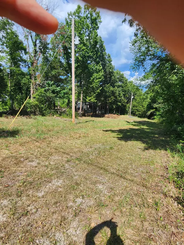 135 Sturgeon Street,  Kissee Mills,  MO 65680