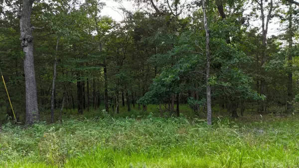 Golden, MO 65658,000 Bluebird Dr.