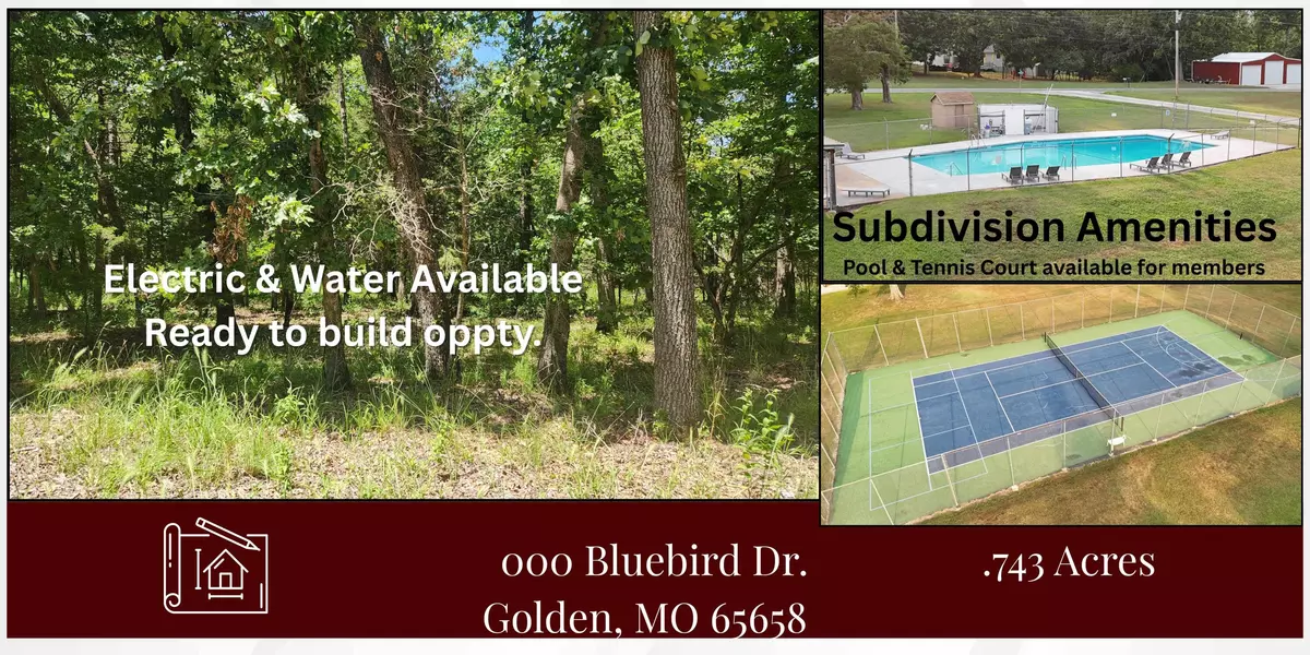 Golden, MO 65658,000 Bluebird Dr.