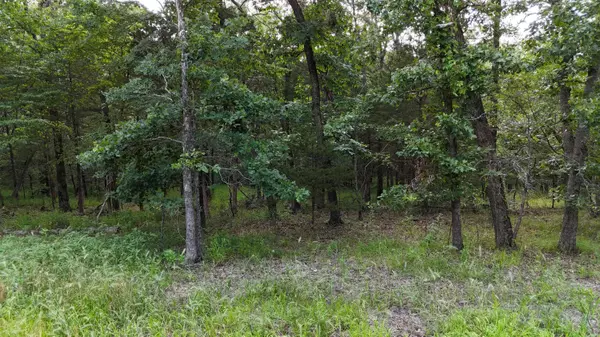 Golden, MO 65658,000 Bluebird Dr.