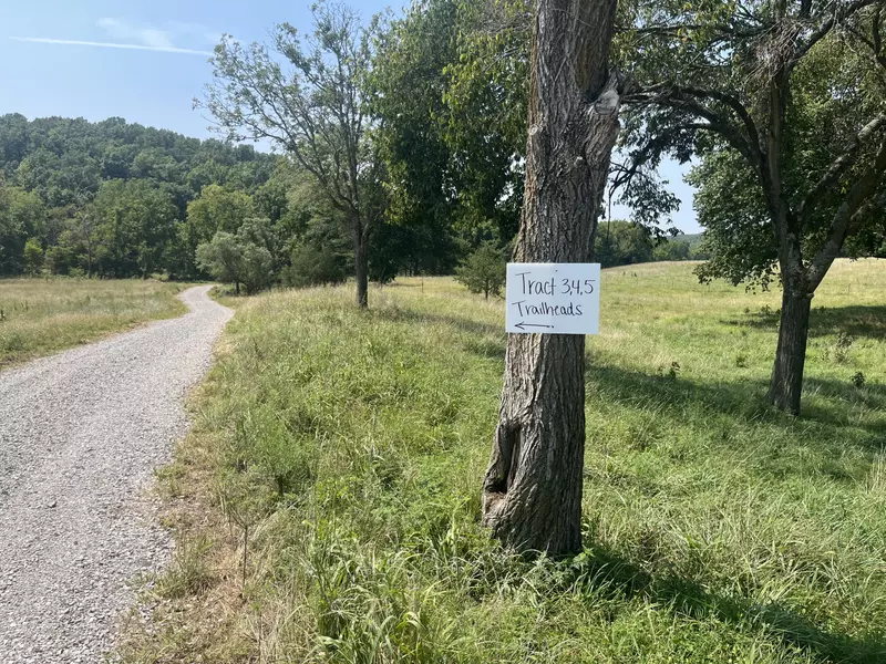 Tract 3b Route 4, Squires, MO 65755