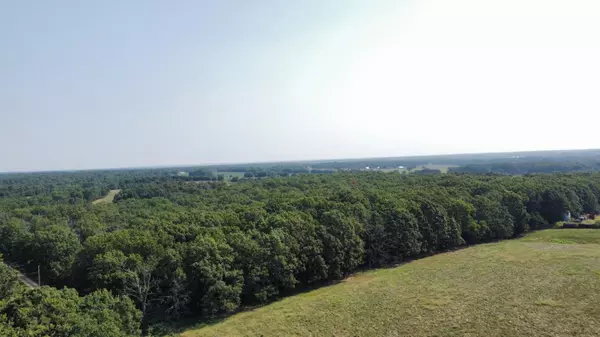 Lebanon, MO 65536,000 Ivory Road