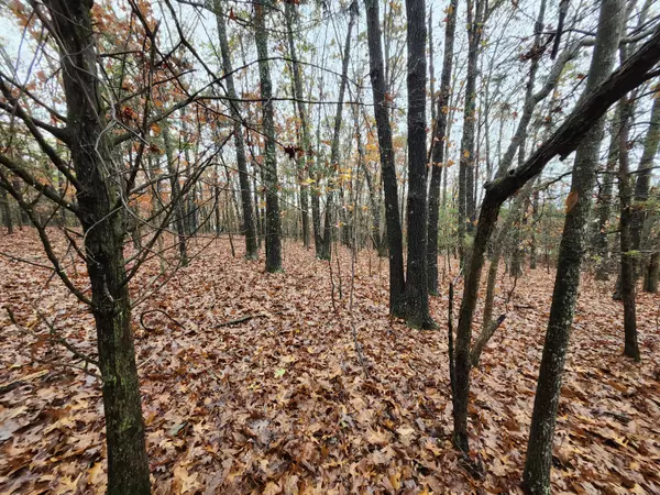 Bucyrus, MO 65444,000 Tbd Emery Road