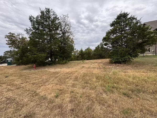 Branson West, MO 65737,000 Forest Lake Dr Lot 102