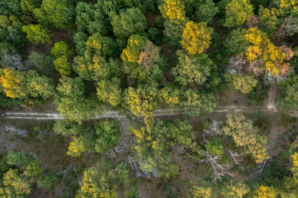 Climax Springs, MO 65324,000 Partridge Drive