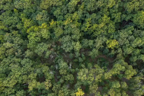 Climax Springs, MO 65324,000 Partridge Drive