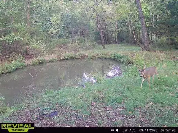 Elk Creek, MO 65464,Tbd Longview Road