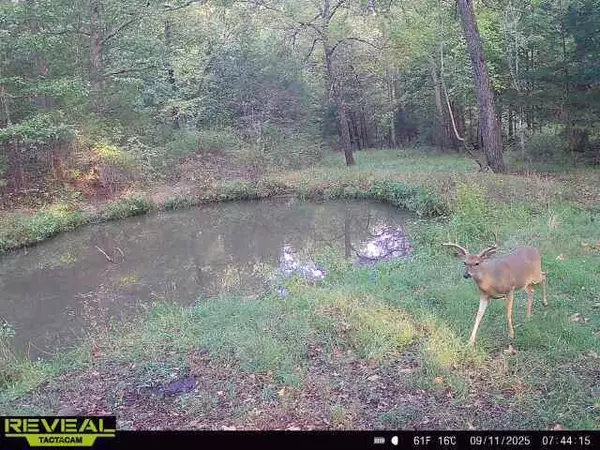 Elk Creek, MO 65464,Tbd Longview Road