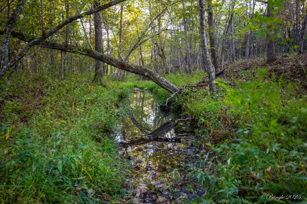 Willow Springs, MO 65793,0 County Road 1990