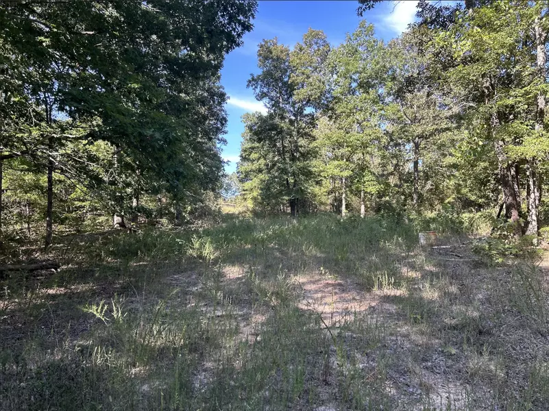 000 Ff-1, Doniphan, MO 63935