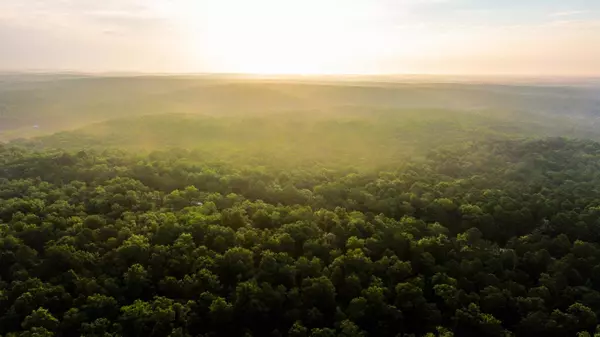 Birch Tree, MO 65438,000 County Road 625