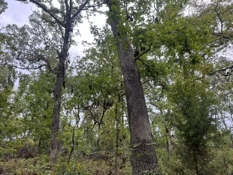 000 Canefield Lane, Warsaw, MO 65355