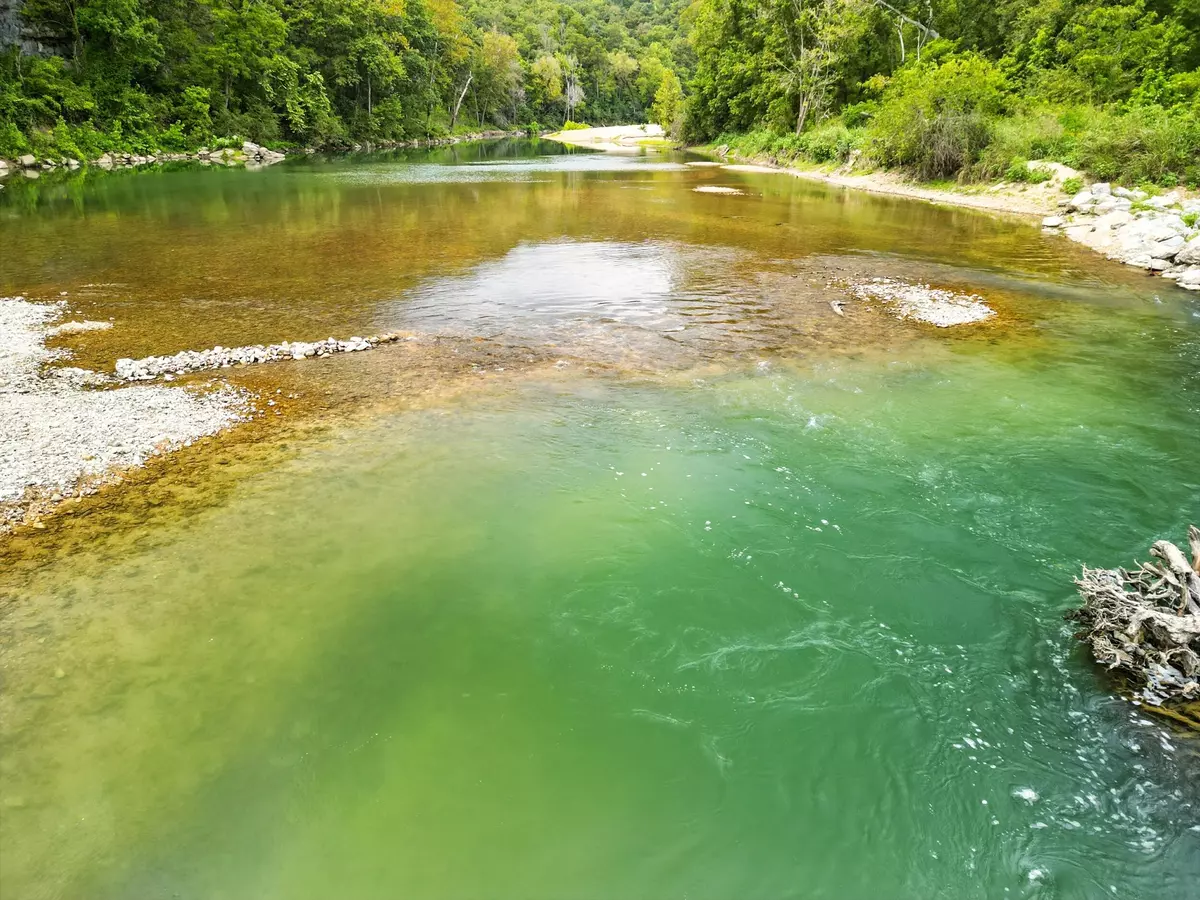 Brixey, MO 65618,838 Alpha Drive