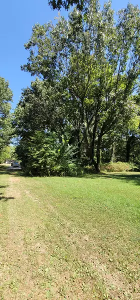 Lot# 337 S Morning Glory Lane, Battlefield, MO 65619