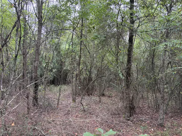 Hattieville, AR 72063,38 Baker Lane