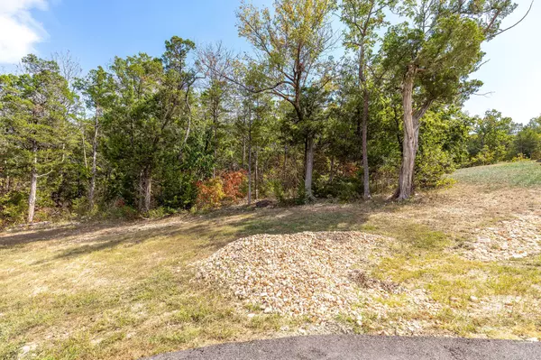 Kimberling City, MO 65686,Lot 11 White Fish Bay