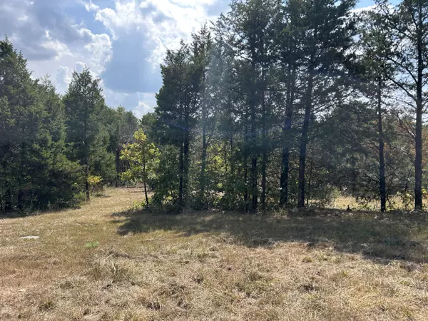 Ava, MO 65608,Tbd 7885 County Road 306 Pvt Drive-B