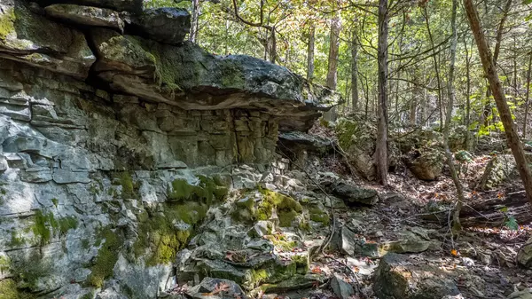 Mountain Home, AR 72653,Tbd Cougar Drive