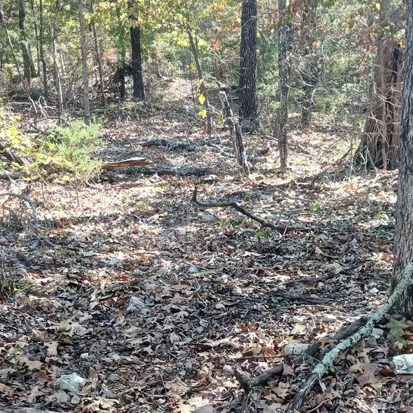 Theodosia, MO 65761,Lots 23,24 Forest St.