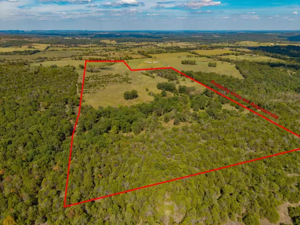 Theodosia, MO 65761,000 County Road 902