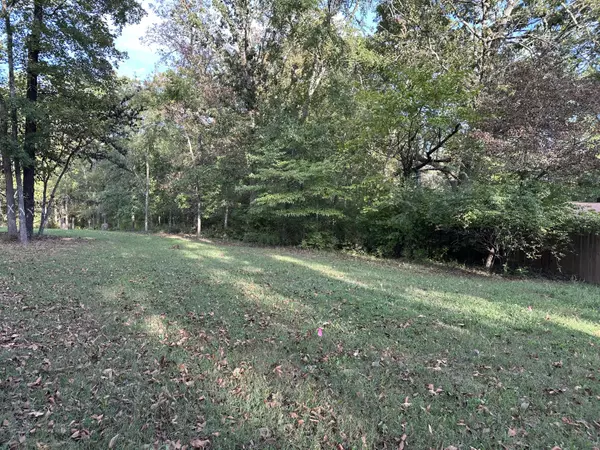 Forsyth, MO 65653,311 S Hickory Street