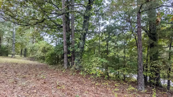 Eminence, MO 65466,000 Highway 106