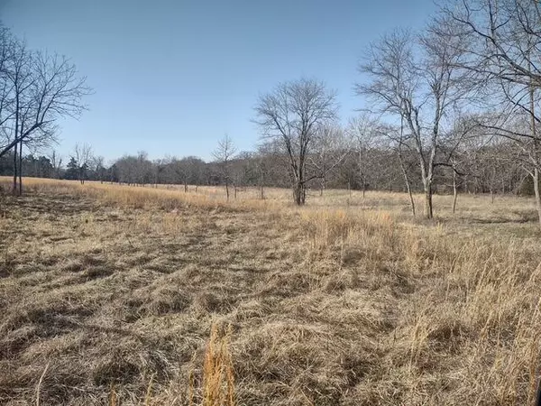 0 St Luke Road, Conway, MO 65632