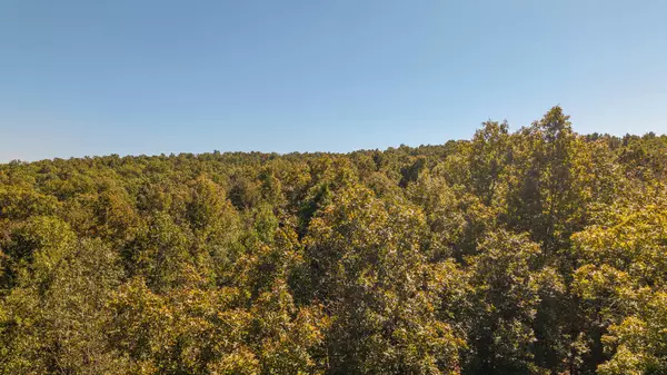 Thayer, MO 65791,000 County Road 317