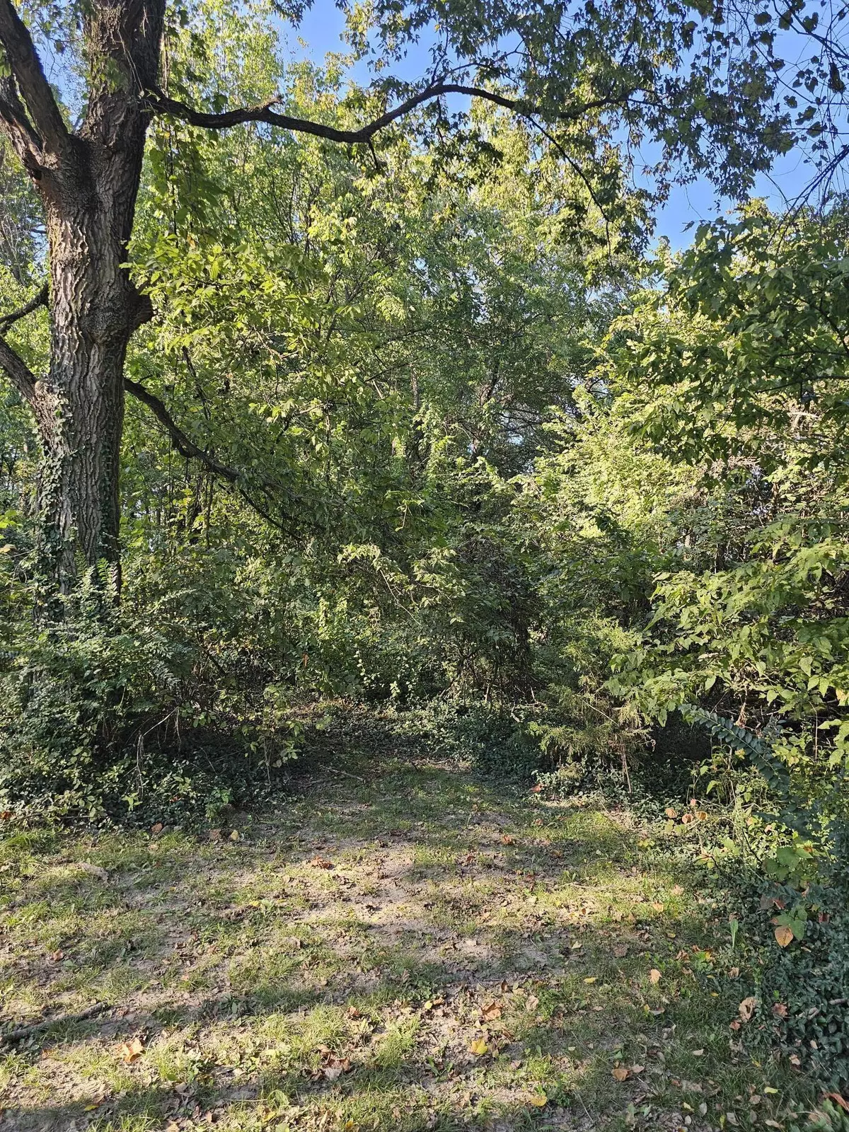 Goodman, MO 64843,000 Garner E Street