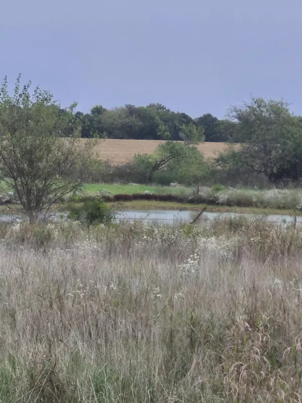 Mt Vernon, MO 65712,15258 Lawrence 1100