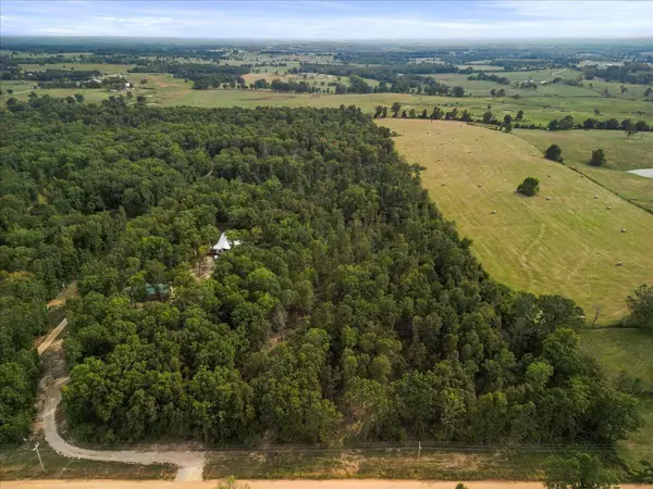 Dora, MO 65637,000 County Road 181-356 #Tract A