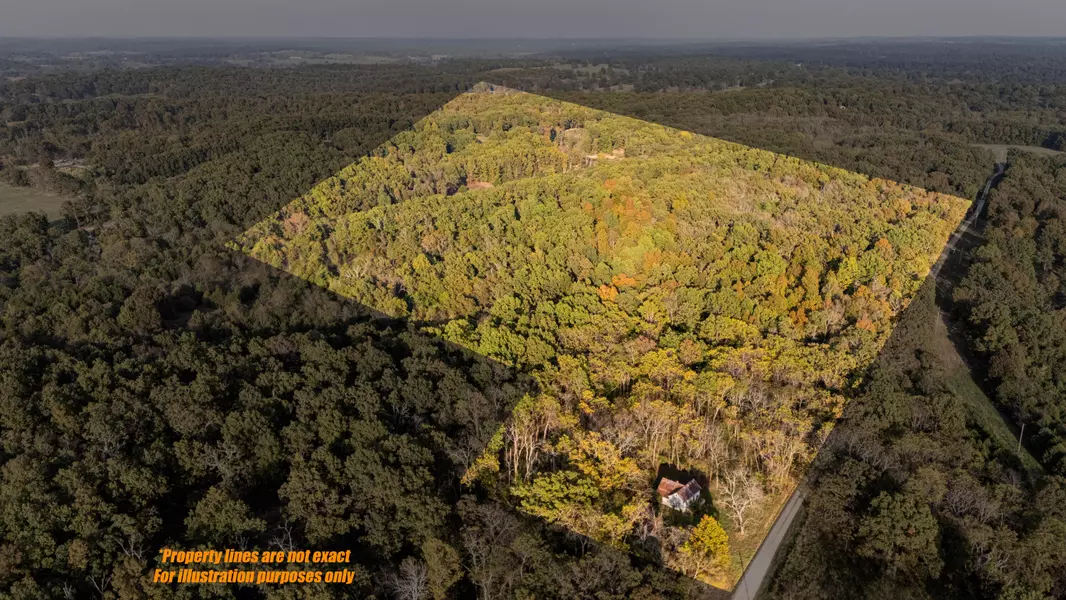 1251 County Road 7550, Pottersville, MO 65790