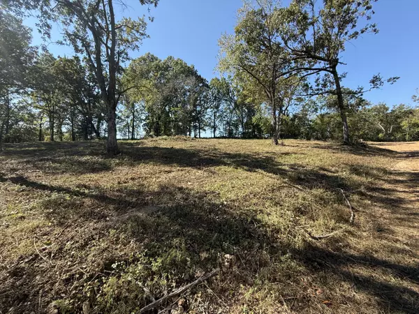 Anderson, MO 64831,Lot #1 Indian Hills Drive