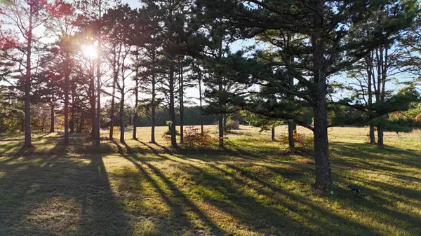 Cabool, MO 65689,659 Rr 63 Box 659