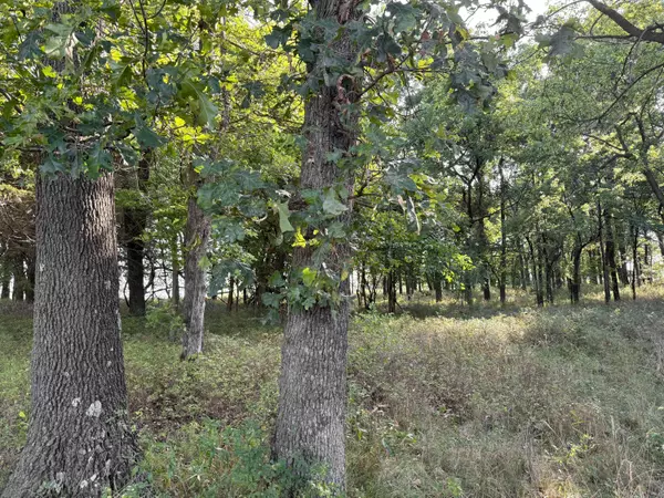 Stotts City, MO 65756,000 State Hwy F